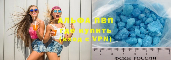 индика Балабаново