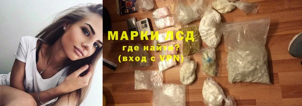 сатива Балахна