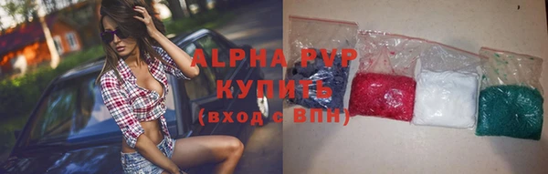 индика Балабаново