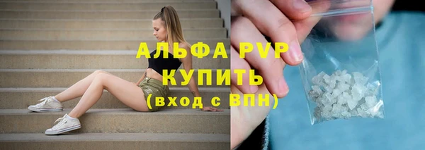 сатива Балахна